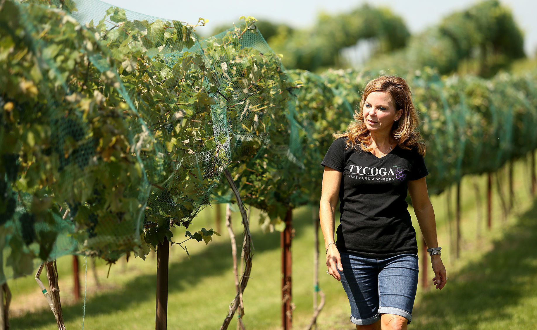 082218-big-story-winery-014